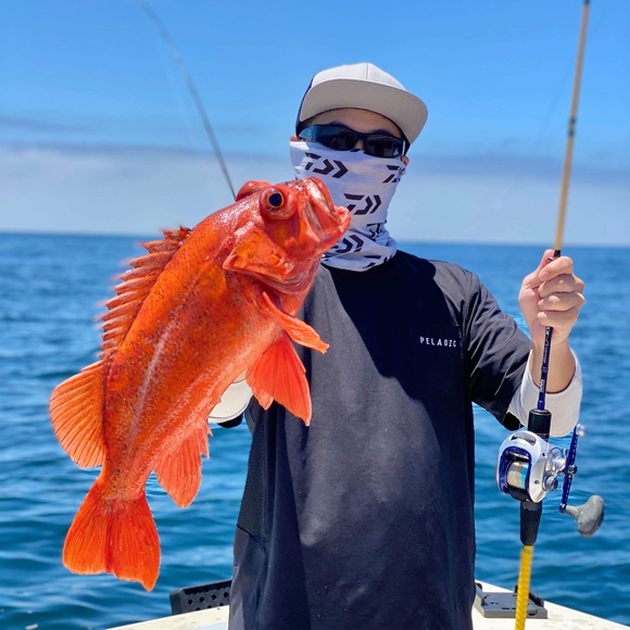 Meet your Posher, Mikey - Picture 7 of 16